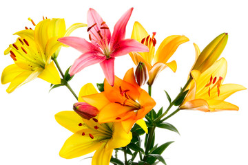 Obraz premium Bouquet