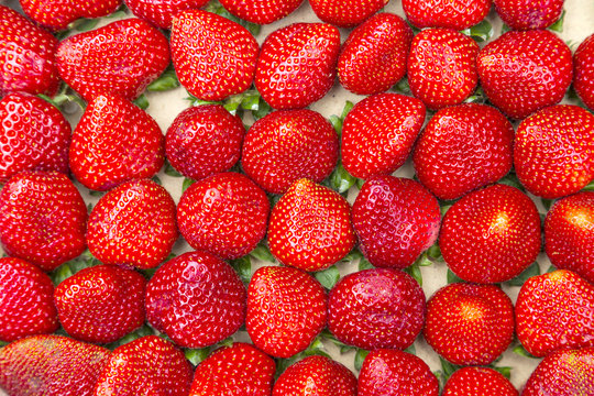 Fresh red strawberries closeup background