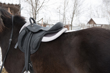 Saddle with stirrups on a back of a horse