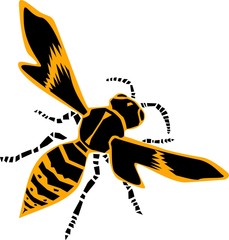 Wasp vector illustration