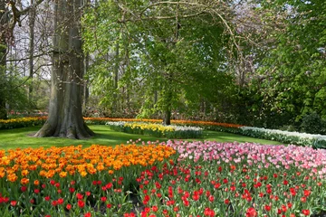 Kissenbezug The Keukenhof, Dutch Public Spring Flowers Garden, Lisse, Zuid H © Laurens