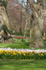 Foto op Canvas The Keukenhof, Dutch Public Spring Flowers Garden, Lisse, Zuid H © Laurens