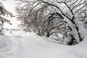Davos during winter, Switzerland, EU