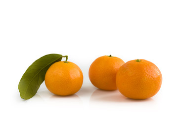 Three tangerines with leaf isolated on white background. Still-life picture taken in studio with soft-box.