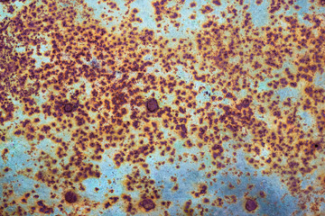 The surface of old steel sheet corrosion-damaged. Painted blue paint. One can see a few nails.