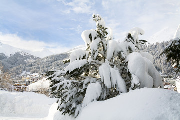 Fototapeta na wymiar Davos during winter, Switzerland, EU
