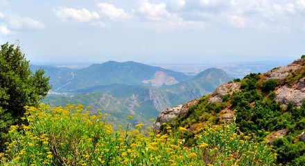 Panorama on the valley from the mountain of Montserrat. Flowers