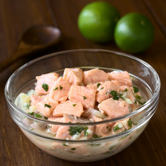 Chilean salmon ceviche prepared with onion, garlic, fresh coriander, salt and lemon juice, photographed with natural light (Selective Focus, Focus in the middle of the ceviche)