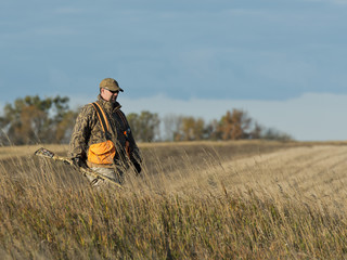 A pheasant hunter