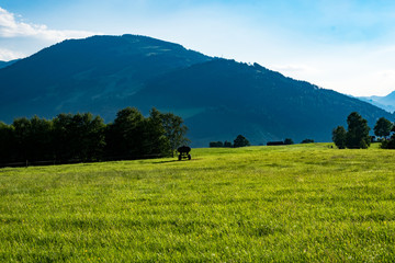 Obraz premium Allgäu 