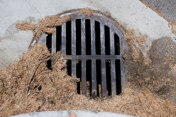 Clogged sewer drain grate