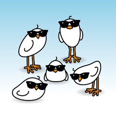 Five Staring White Chicks Wearing Sunglasses