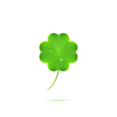 St. Patrick`s four leaf clover. Realistic shamrock with water drops