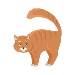 Red Cat Vector Flat Design Illustration