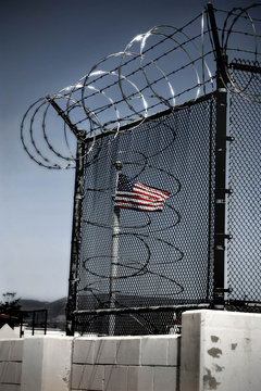 Caged Freedom