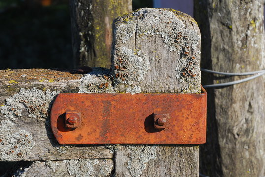 Tranqueras y alambrados