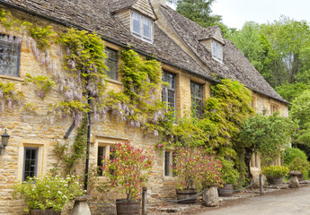 Charming Cotswolds golden cottages with climbing purple wisteria, plants in the barrels, ornamental stone mushrooms