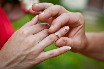 Wedding. The exchange of rings.