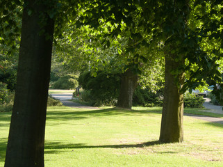 Park at Ermelo, Gelderland, Holland, NLD
