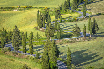 turn on the road in Tuscany