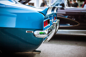 Blue Camero or Mustang - obrazy, fototapety, plakaty