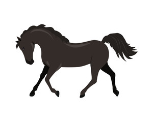 Fototapeta na wymiar Horse Vector Illustration in Flat Design