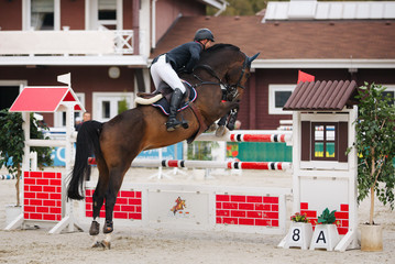 Showjumping