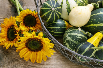 Basket of pumpkins