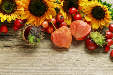 Sunflowers and wild rose fruits on wooden background