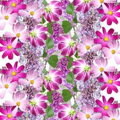 Beautiful floral background with lilac and cosmo  