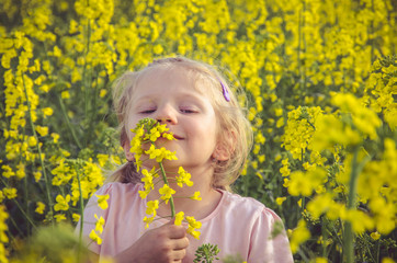 smelling yellow rapeseed field
