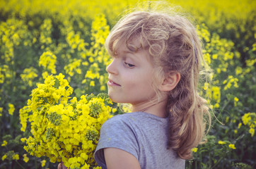 Fototapeta premium little child in yellow rapeseed field