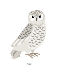 White polar owl - rather large bird of Arctic