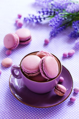 Makarons French pastries stuffed with black currant.