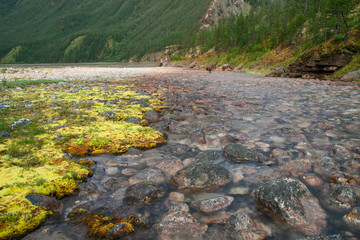 Light fog over the rocky creek in the mountains. The influx of the Indigirka River. Yakutia. Russia.