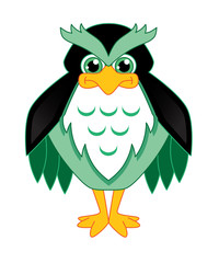 A Cute Owl Looking Sternly. White Background.