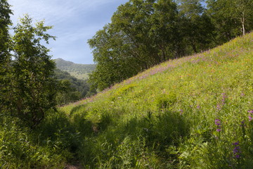 Kamchatka's landcape
