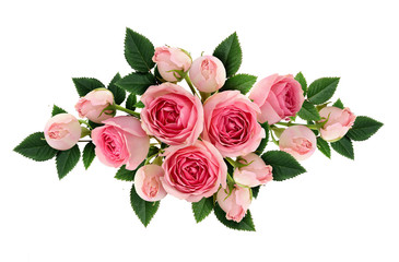 Fototapeta premium Różowe kwiaty róży i układ pąków