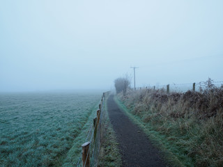 foggy countryside in Northern Ireland