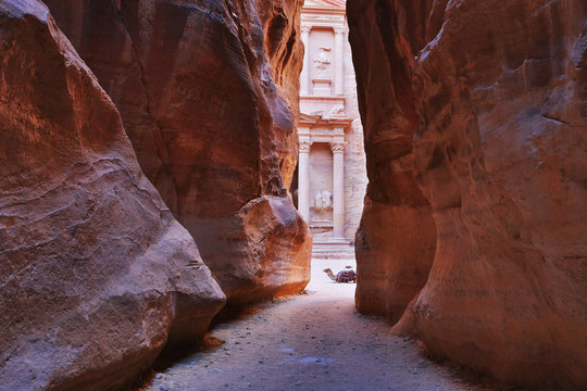The Treasury (Al Khazneh) of Petra Ancient City with Camel, Jordan
