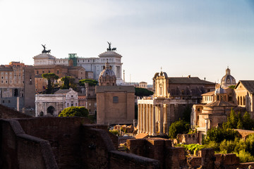 Obraz premium View over Palatine Hill