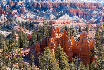 Early spring in Bryce