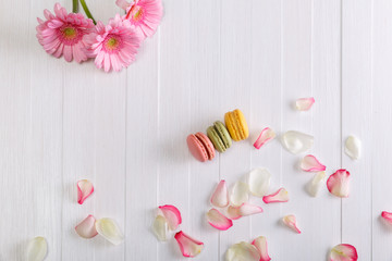 Fototapeta na wymiar Macaroon cakes with pink rose petals and Gerbera flowers. Different types of macaron. Colorful almond cookies. On white wooden rustic background.
