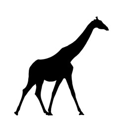 Walking Giraffe - Silhouette - Vector Illustration