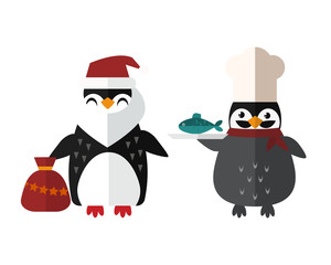 Penguin vector animal character illustration.