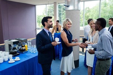 Business executives interacting with each other