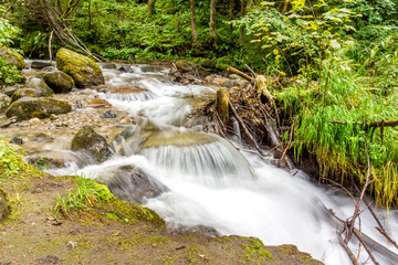Wildbach im Wald mit Langzeitbelichtung
