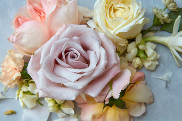 Roses on grey background