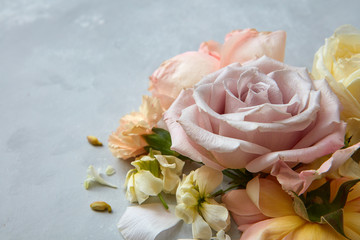 Roses on grey background