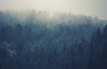 Colorado Foggy Hills